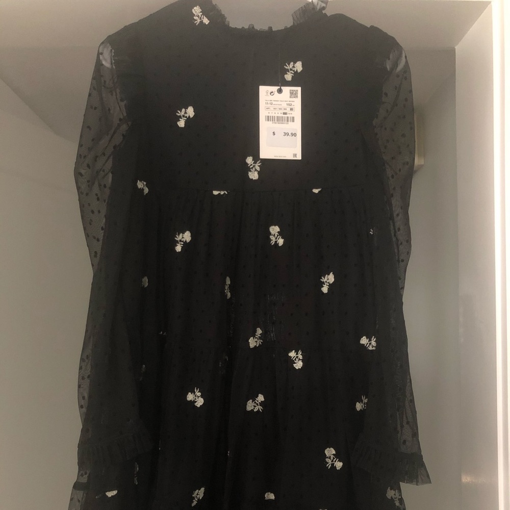 Zara dress